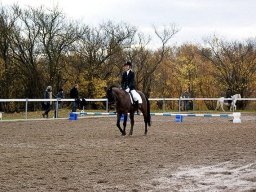 DSC02554-057_web
